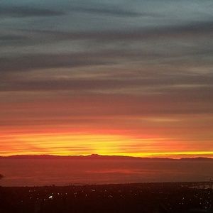 Meet your Posher, Brett